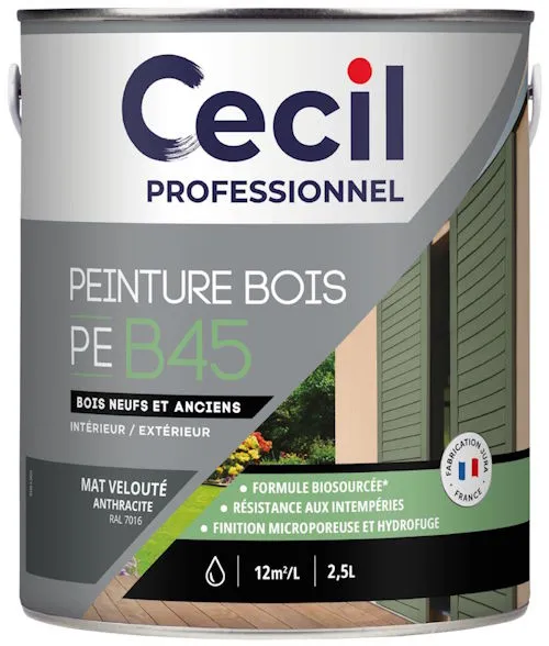Produit Peinture bois acrylique - PE B45 - Mat anthracite Image